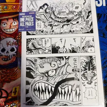 ONE PIECE 모든 페이지 카이도에게 무엇이 있다!? 와노쿠니 편
