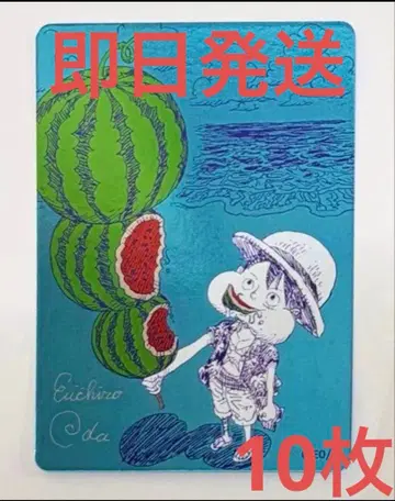 슈에이샤 나츠코미 메타키라 카드 원피스 10장 세트