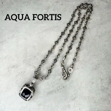 AQUA FORTIS 아쿠아 포티스 목걸이 체인 세트