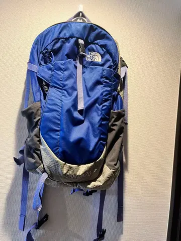 THE NORTH FACE CAELUS 20 백팩