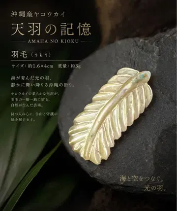 2026.7.2 no.2 아마노 기억 오키나와산 야코우카이