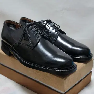 리걸 2504
