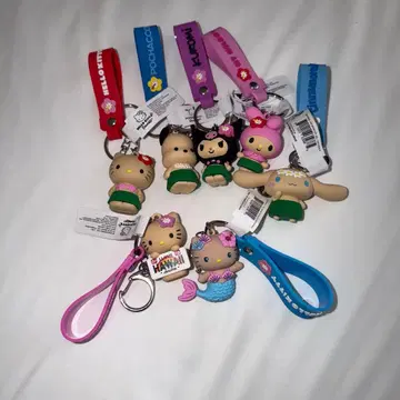 하와이 일광화상 키티 키링