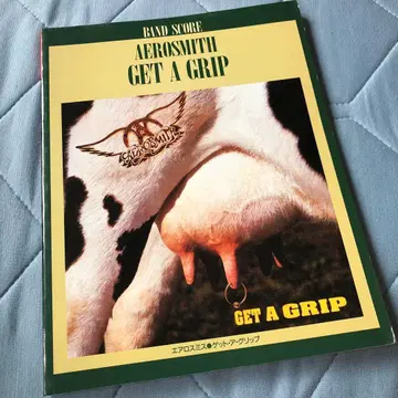 AEROSMITH GET A GRIP 밴드 스코어