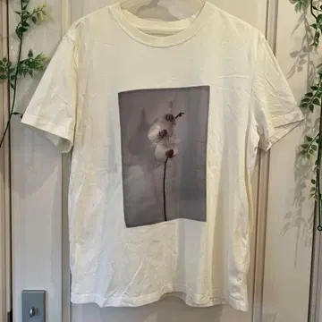 Calvin Klein 티셔츠 화이트 꽃무늬 프린트 M
