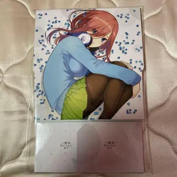 미쿠 스토리지 박스