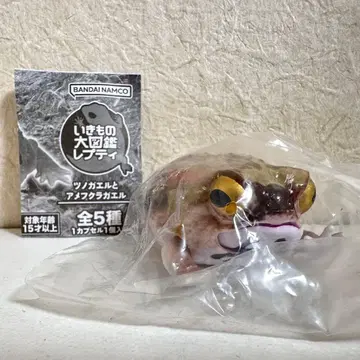 생물대도감 쁘띠 뿔개구리와 아메후쿠라개구리 라이트
