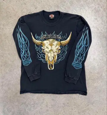 Harley-Davidson 버팔로 스컬 프린트 블랙 M