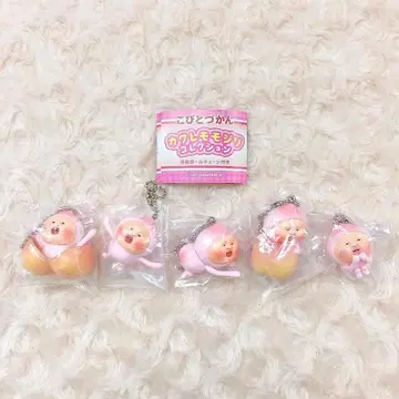 [노멀 5종] 코비토즈칸 카쿠레모모지리 컬렉션