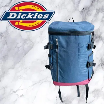 Dickies 디키즈 스퀘어 백팩 대용량