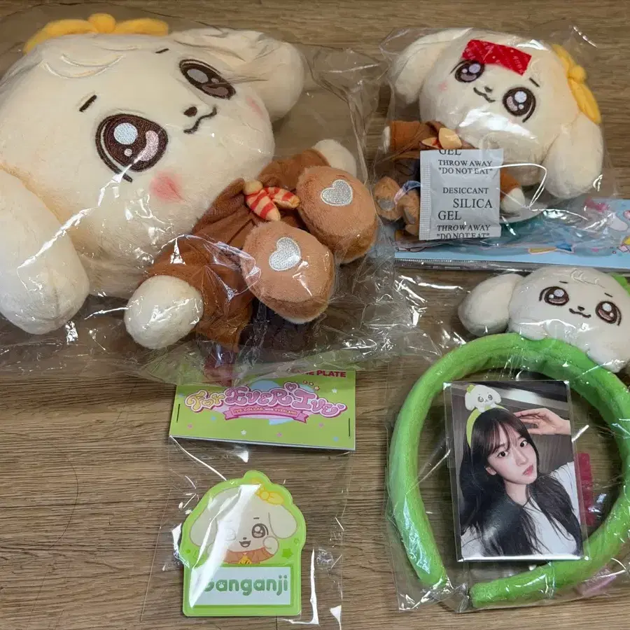 mizuki】IVE EVERLAND MINIVE mizuki様専用】IVE EVERLAND MINIVE