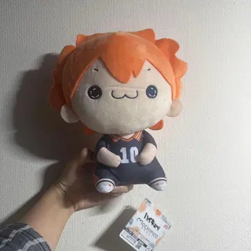 하이큐!! 모치피코 BIG 히나타 쇼요 봉제 인형