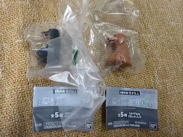 마테보케 강아지 4 가챠 미니어처 닥스훈트 레드 블랙탄