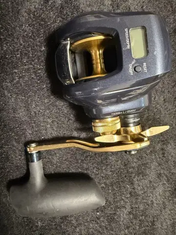 DAIWA TIERRA LJ IC 300H