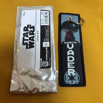 STAR WARS 다스 베이더 플라이트 택 키링 시크릿
