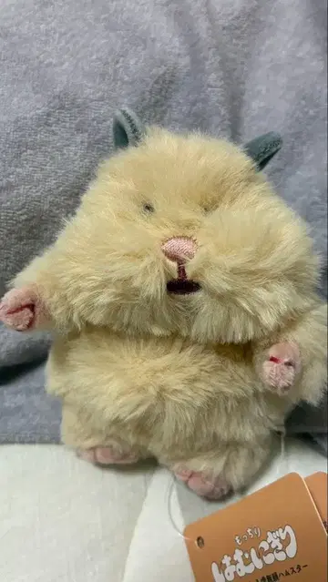말랑말랑 햄토끼 키나코 봉제 인형 본체