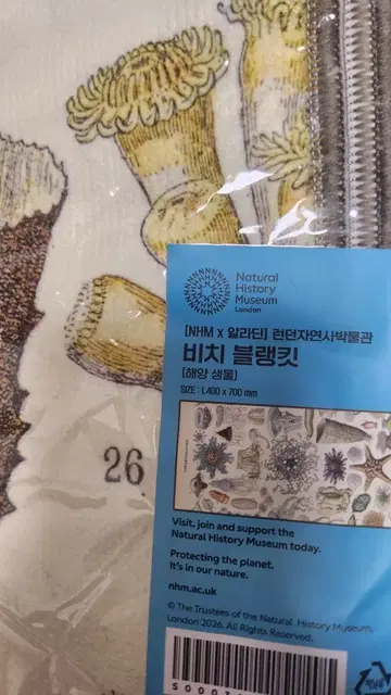런던자연사박물관 비치 블랭킷 (해양 생물, 알라딘 굿즈)