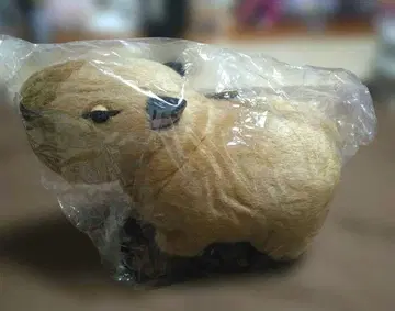 어드벤처 월드 카피바라 봉제 인형 L