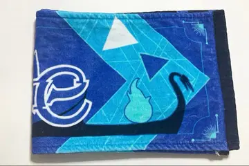트위스테 브레이징 주얼 이그니하이드 기숙사 머플러 타월