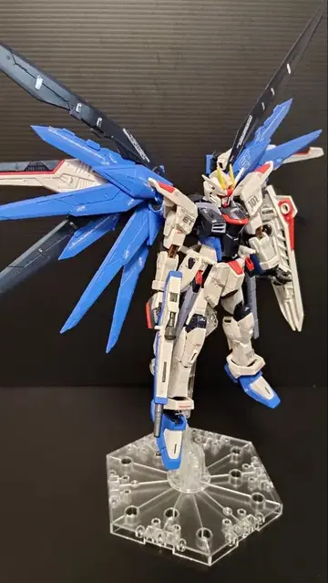 RG 프리덤 건담 완성품