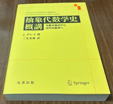 추상대수학사 개론 대수방정식에서 근대대수학으로 그레이 저