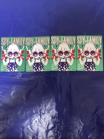 나츠코미 여름코미 스파이 패밀리 SPYFAMILY
