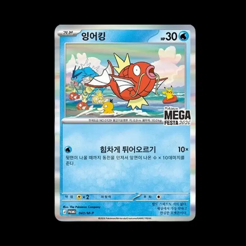 잉어킹 프로모카드 미개봉