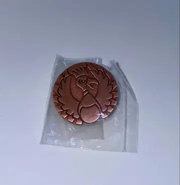 포켓몬 호우오 핀즈 포켓몬