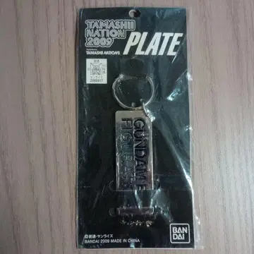 TAMASHII NATION 2009 한정판 플레이트 키링