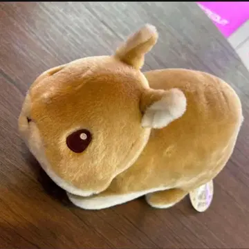 익명 배송 래빗 도어 BIG 봉제 인형 봉제 인형 마스코트