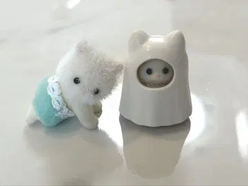 페르시안 고양이 아기 유령 폭신폭신 아기 세트