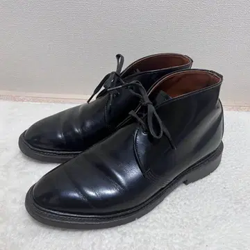 REDWING 9096 캐버리 차카 US8.5D