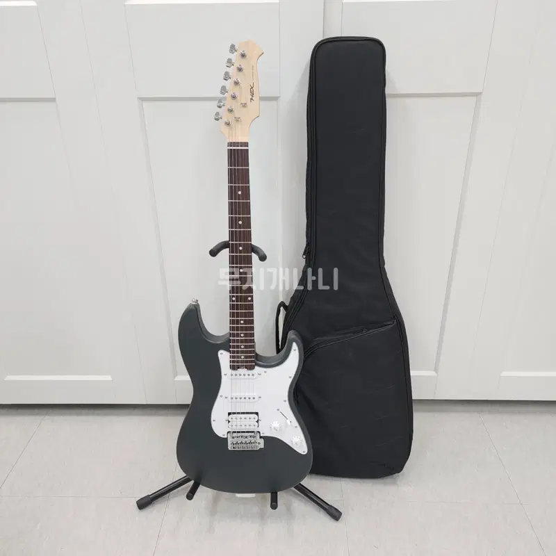 헥스 스트랫 일렉기타 E100 STD SG