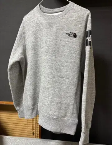THE NORTH FACE 맨투맨 그레이