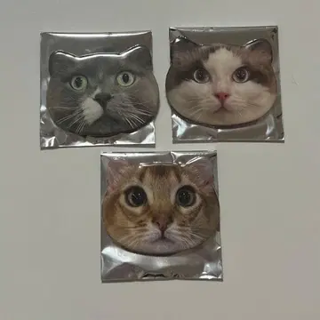 고양이 카페 MOCHA 아키하바라점 고양이 모양 캔뱃지
