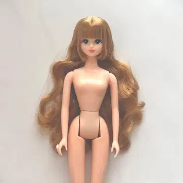 제시카 리카짱 캐슬 리틀 팩토리 상자 인형 27cm 제니