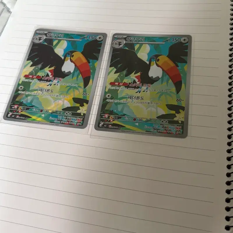 왕큰부리 AR