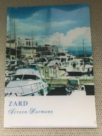 ZARD Screen Harmony A4 클리어 파일 3 사카이 이즈미