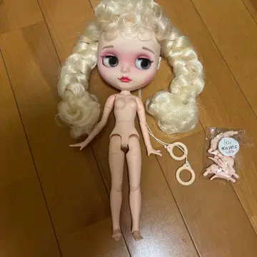 아이시 인형 해외 작가제