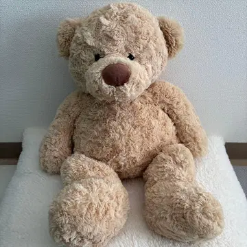 코스트코 곰 허그팬