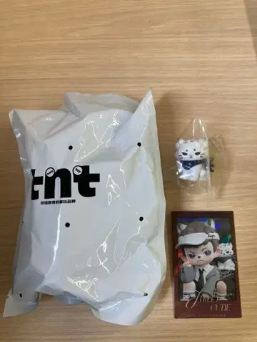 TNT SPACE 라이언 피규어
