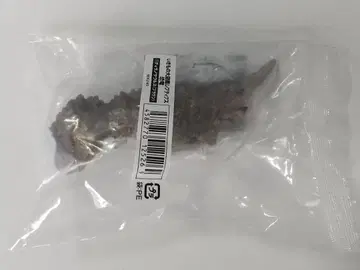 생물대도감 쁘띠스 공룡 티라노사우루스(브라운)