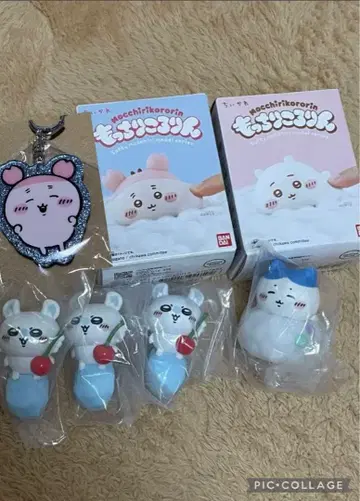 치이카와 (먼작귀) 모찌리 코로링 기타 묶음 판매