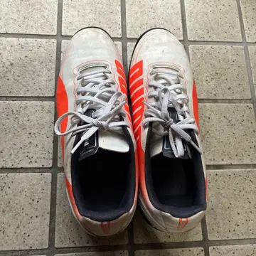 PUMA evospeed 축구 트레이닝 슈즈