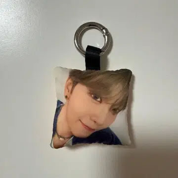ALD1 팬콘 캡슐 토이 쿠션 키링 신롱