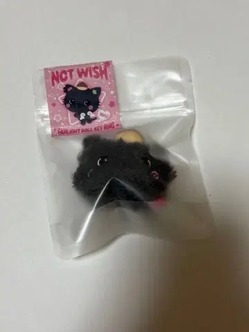 nct wish 리쿠 응원봉 키링