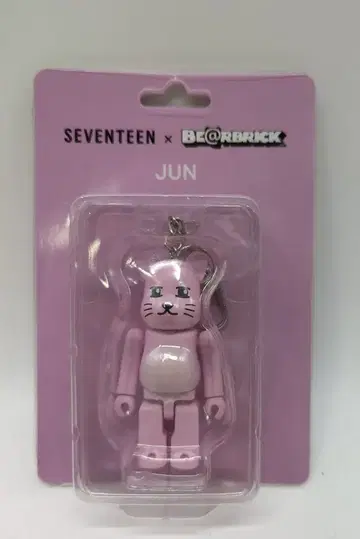 메디콤 토이 베어브릭 x 세븐틴 준 100%