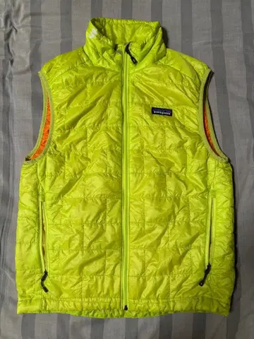 Patagonia 다운 베스트
