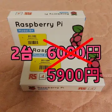 Raspberry Pi Model B+ 본체 2개