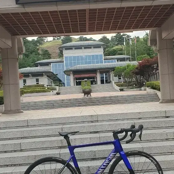 로드자전거